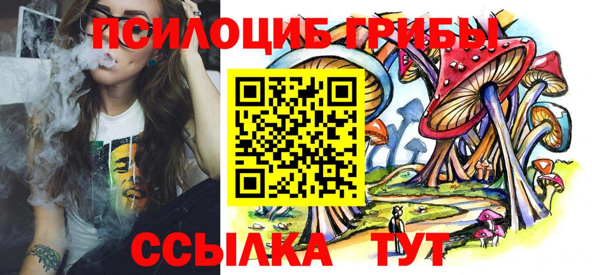 Рассказово  как найти закладки  Вход с VPN  Псилоцибиновые грибы MAGIC MUSHROOMS 